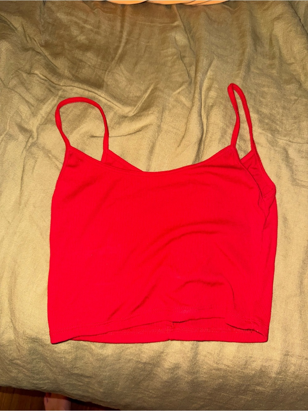 Brandy Melville Red Ribbed Crop Tank